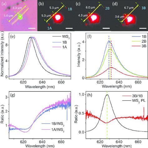 Absorption Spectrum Of Surface Plasmon Polaritons Spps By Ws A