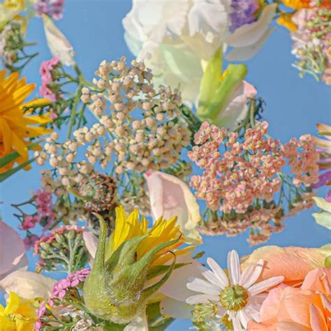 Joseph Horner On Instagram Floral Fever In 2024 Flowers