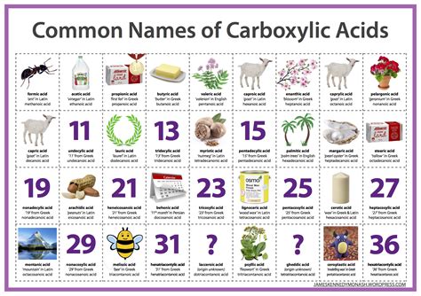 Common Names Of Carboxylic Acids Png 1 754×1 239 Pixels Flavor Chemistry Pinterest