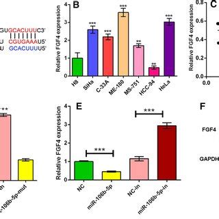 Mir B P Expression Was Down Regulated In Cc Tissues And Cells A