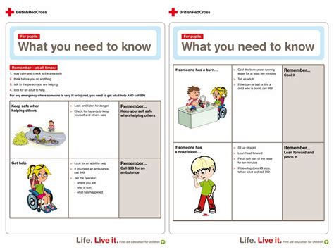 Printable First Aid Information Health And Safety Poster Safety