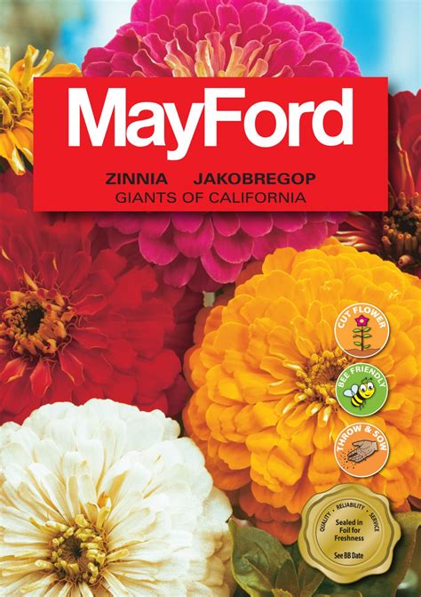 Mayford Seeds