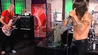Tell Me Baby Von Red Hot Chili Peppers Laut De Song