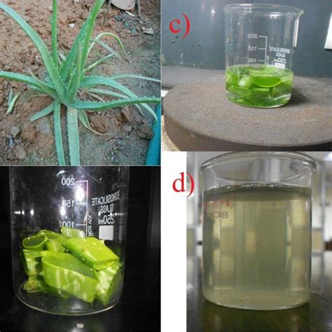 Pdf Green Synthesis Of Tio2 Nanoparticles Using Aloe Vera Extract