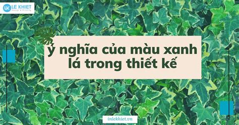 Ý Nghĩa Của Màu Xanh Lá Trong Thiết Kế 2024