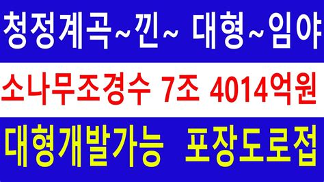 청정계곡낀~ 대형임야~ 송이산 경사완만 건축개발조건완벽 소나무조경수7조4014억원 숲야영장캠핑교회탠트고기집2433억원 미자립