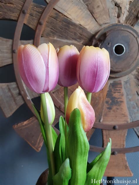 Bos Tulpen Paars Geel 5 Stelen Het Pronkhuisje