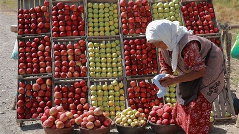 La ONU alertó que 735 millones de personas sufren hambre en todo el