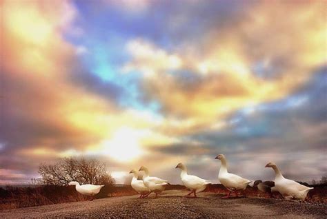 How To Capture Dramatic Skies In Your iPhone Photos