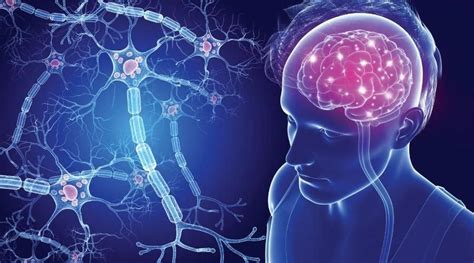 Brain effects in multiple sclerosis | Vinmec