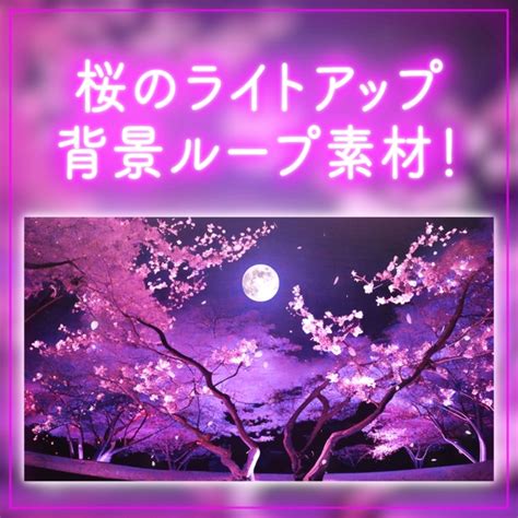 【背景ループ素材】ライトアップされた夜桜 夜 桜の木 月夜 舞う桜 動く背景 春 神秘的 幻想的 和風 3月 木 自然 ゲームなどの背景に 配信背景【背景動画】 動画素材屋hiro Booth