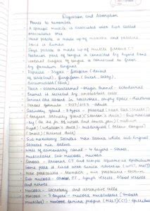 Class 11th Digestion And Absorption Notes Biology For NEET By Vaaruna