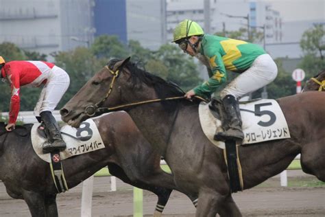 しゅう On Twitter ショウヘイヘーイは元気だったよ😆 また笠松に乗りにおいで🙌 大井競馬場 笠松競馬場 高橋昭平騎手