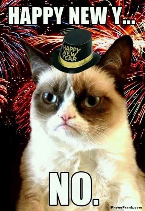 Idea By Shanna Veloso On Happy New Year Pictures Grumpy Cat Grumpy