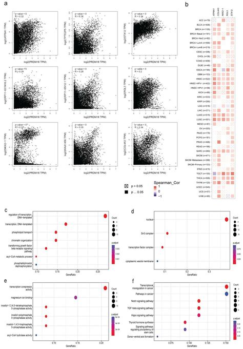 The Relationships Between Prdm16 And Target Genesa Scatter Plots Of