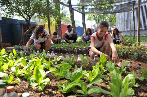 Horta Na Escola Sa De E Aprendizado