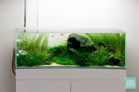 Ultum Nature Systems Rimless Long Glass Aquarium Tank