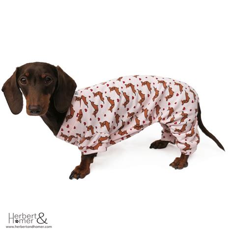 Lovely Stuff For Your Loved One Wiener Dog Dog Pajamas Dachshund