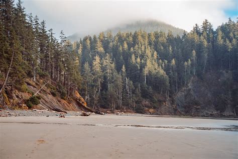 People Walking on the Beach · Free Stock Photo