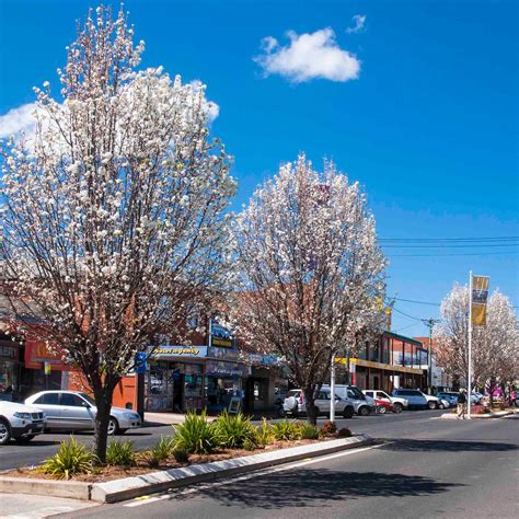 Coonabarabran Visitor Information Centre - All You Need to Know BEFORE ...