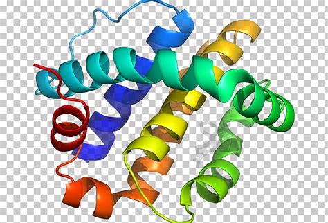 Protein Structure Clipart