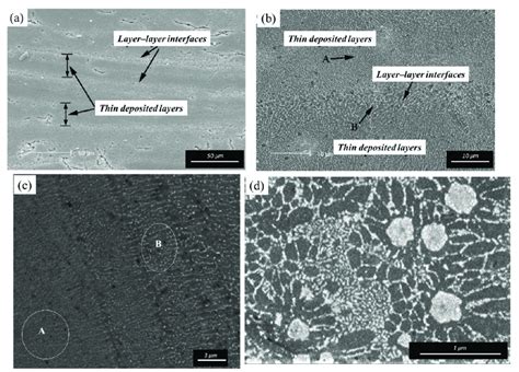 Microstructural Morphology In The Al Based Coatings A Structure Of Download Scientific