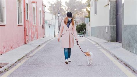 Coronavirus Qu Hacer Despu S De Sacar A Pasear El Perro En Estado De