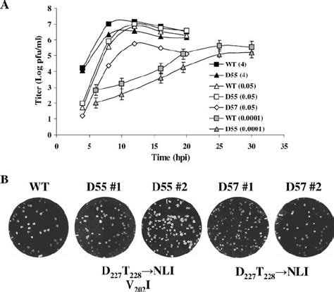 Growth Kinetics And Plaque Morphologies Of Recovered R227D Viruses A