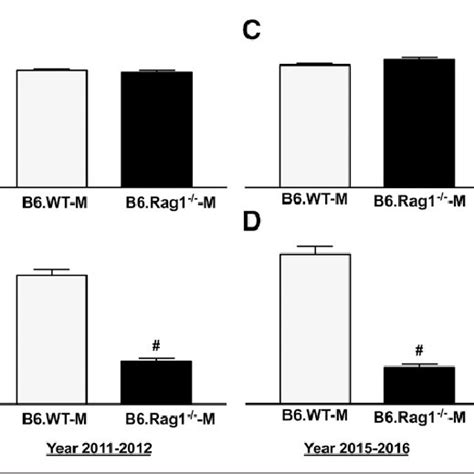 Spleen T Cell Numbers In Male B6 Rag1 − − And Wild Type Littermates