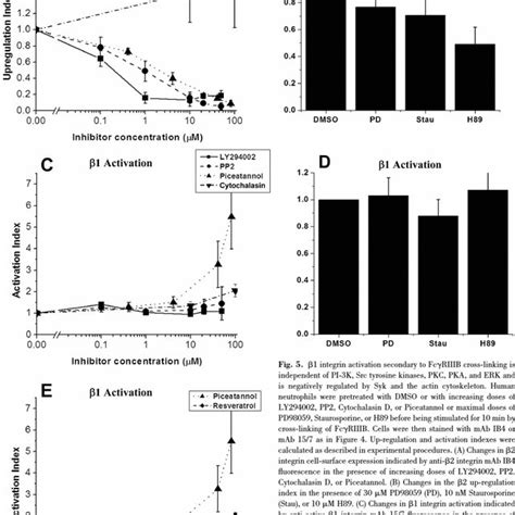 Integrin Activation Secondary To Fc Riiib Cross Linking Is