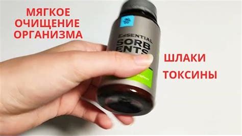Очищающий Фитосорбент Purle Life (Полный Обзор Siberian Wellness)