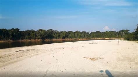 Allpahuayo Mishana Conoce Los Bosques De Arena Blanca Y Los Inundables