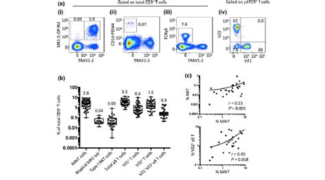 Enumeration Of Unconventional T Cell Subsets A Flow Cytometric Plots