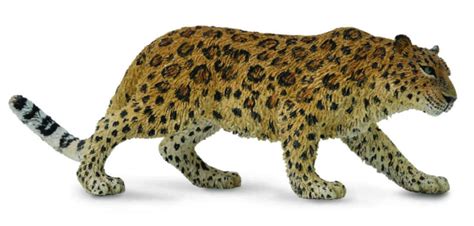 Amur Leopard | Figures and Toy Soldiers | hobbyDB