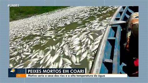 VÍDEO milhares de peixes surgem mortos por falta de oxigênio em lago