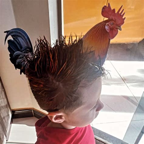 Cabelo Maluco Menino Cacheado - Cabelo Maluco de Galo | Cabelo cacheado, Penteados, Cabelo maluco e