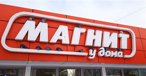 Магнит и голуби | Пикабу