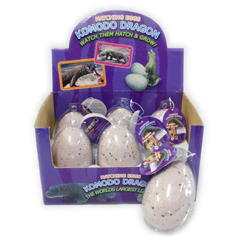 Hatching Komodo Dragon Egg | Grow your own pet!