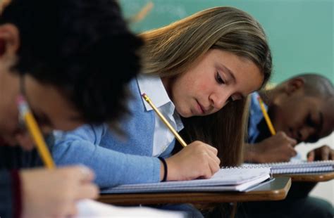 creating student web portals  key design elements  chimes