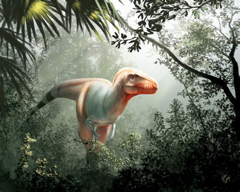 New Reaper Of Death Tyrannosaur Species Discovered In Canada Fox News