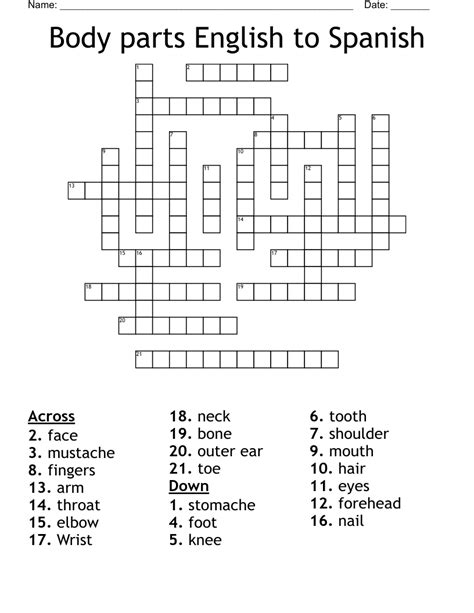 Body Parts English To Spanish Crossword WordMint