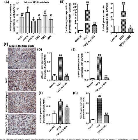 Figure 1 from Inhibition of canonical WNT signaling pathway by β