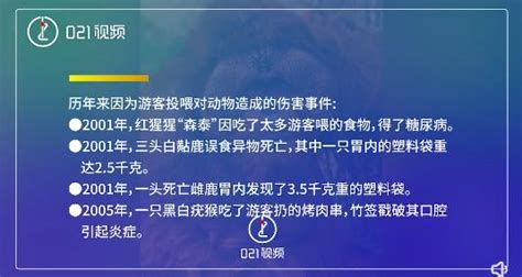 判若两狼！可可西里出现“网红狼”，网友开始担心澎湃号·媒体澎湃新闻 The Paper