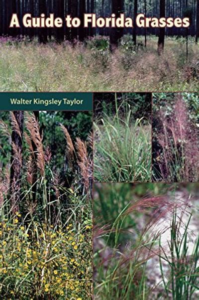 A Guide To Florida Grasses