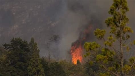 El Incendio En Chubut Ya Consumió Más De 8500 Hectáreas Y Está