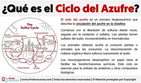 Qué es el Ciclo del Azufre Definición