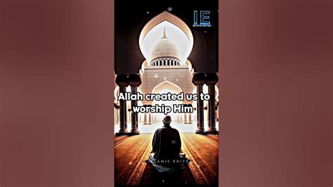 Why Did Allah Created Us Powerful Islamic Status Shorts Islam