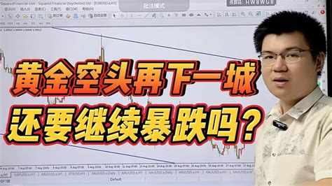 黄金空头再下一城，还要继续暴跌吗？2023 08 18【外汇交易策略】 Youtube