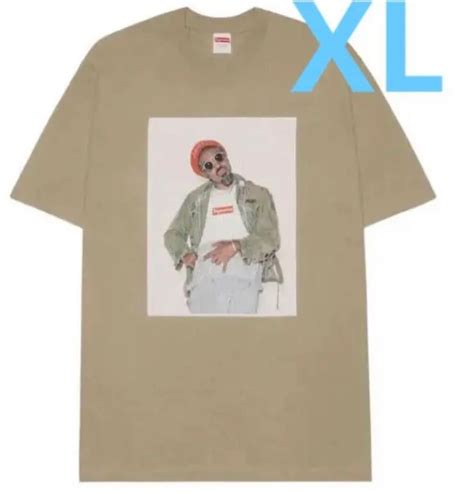 Supreme Dont Fuck Around Tee L Swim Main Jp