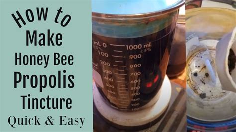 How To Make A Bee Propolis Tincture Quick And Easy Youtube